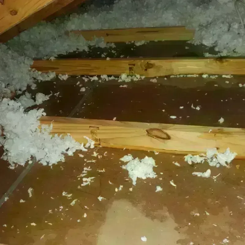 Attic Water Damage in Farmers Loop, AK